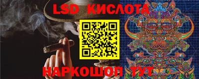 шишки Пугачёв