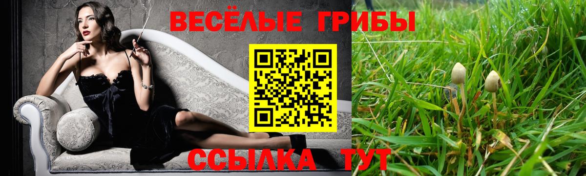 Скопин  Псилоцибиновые грибы Psilocybine cubensis  Вход с VPN  Псилоцибиновые грибы GOLDEN TEACHER 